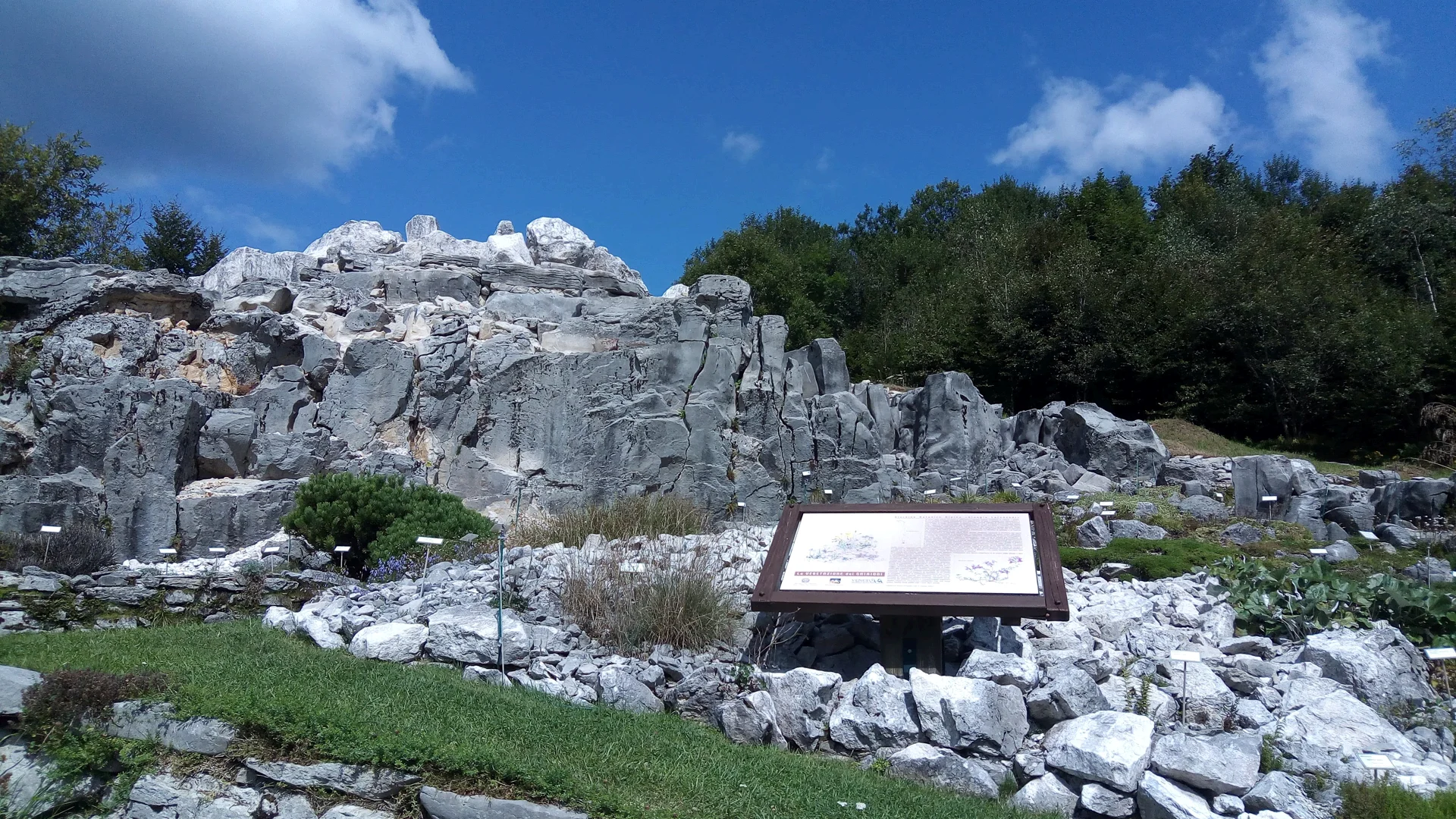 Giardino Botanico Alpino “Lorenzo Sarti” di Pian Cansiglio